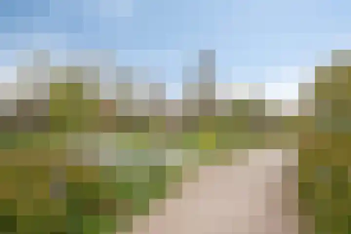 Niftarlakestraat 14 Breukelen thumbnail 49