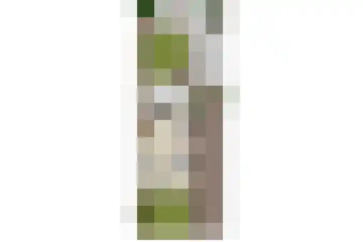 Niftarlakestraat 14 Breukelen thumbnail 50