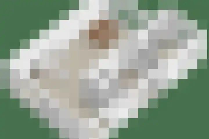 Niftarlakestraat 14 Breukelen thumbnail 69