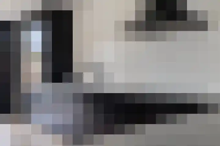 Niftarlakestraat 4 Breukelen thumbnail 11