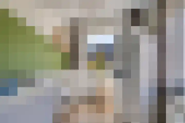 Niftarlakestraat 4 Breukelen thumbnail 22