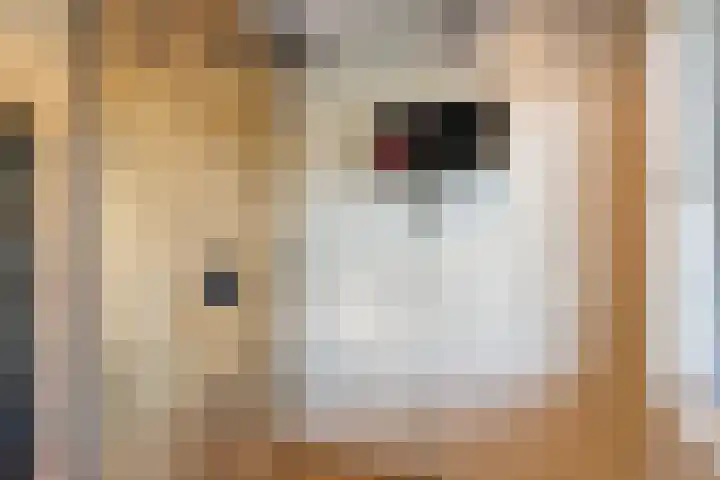 Niftarlakestraat 4 Breukelen thumbnail 24