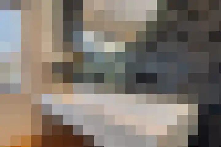 Niftarlakestraat 4 Breukelen thumbnail 25