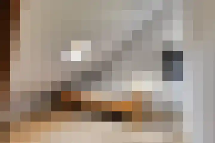 Niftarlakestraat 4 Breukelen thumbnail 28
