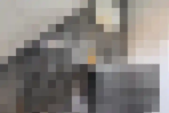Niftarlakestraat 4 Breukelen thumbnail 30