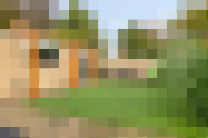 Niftarlakestraat 4 Breukelen thumbnail 32