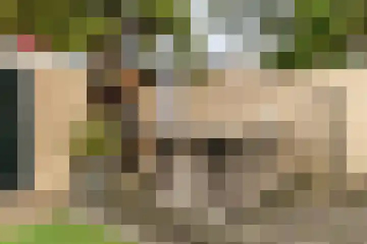 Niftarlakestraat 4 Breukelen thumbnail 34