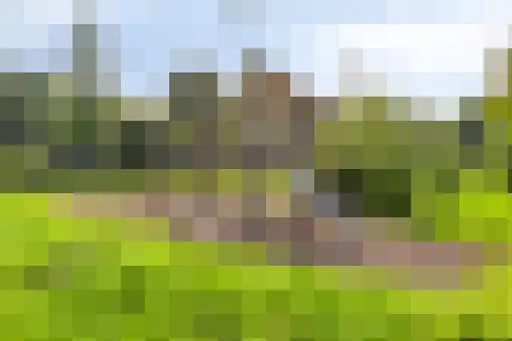 Niftarlakestraat 4 Breukelen thumbnail 39