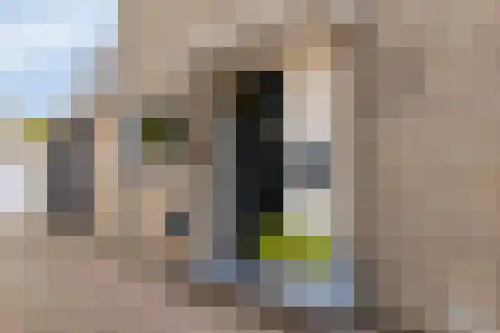 Niftarlakestraat 4 Breukelen thumbnail 4