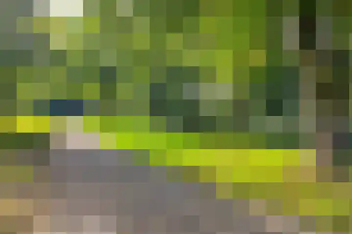 Niftarlakestraat 4 Breukelen thumbnail 40