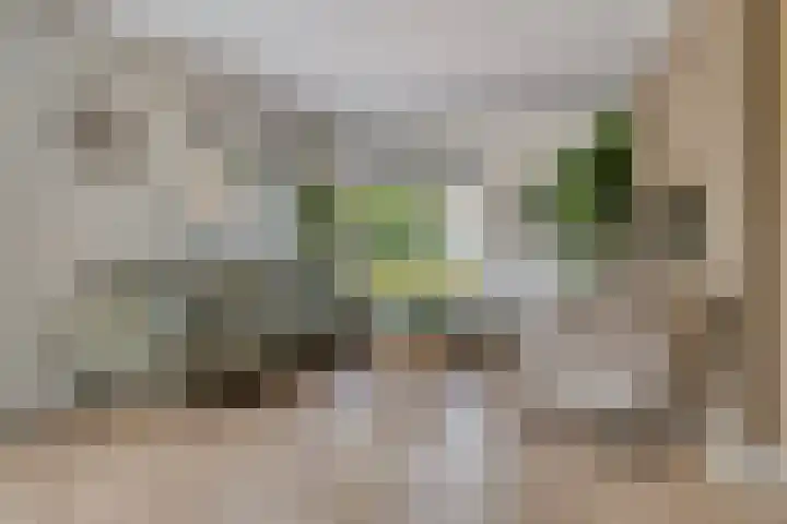 Niftarlakestraat 4 Breukelen thumbnail 7