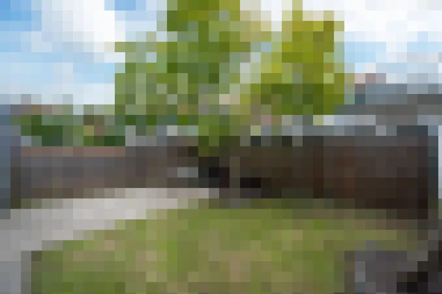 Nigellestraat 28 Amsterdam thumbnail 8