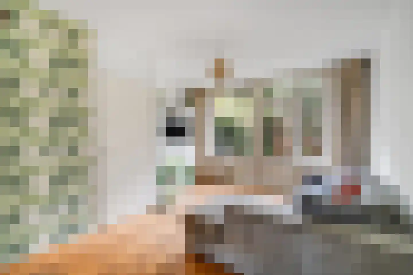 Nigellestraat 79 Amsterdam thumbnail 5