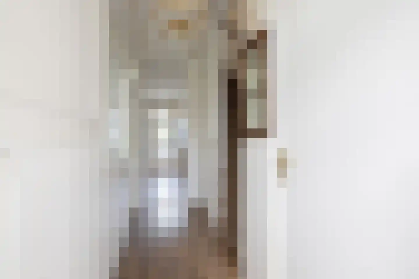 Nigerdreef 24 Utrecht thumbnail 11