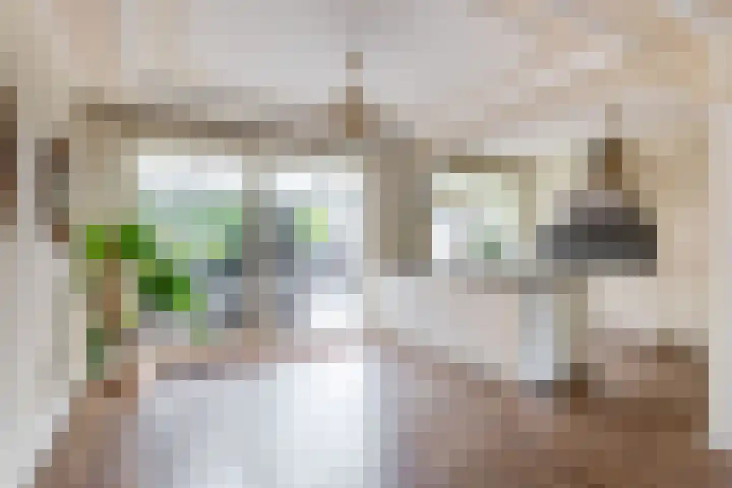 Nigerdreef 24 Utrecht thumbnail 17