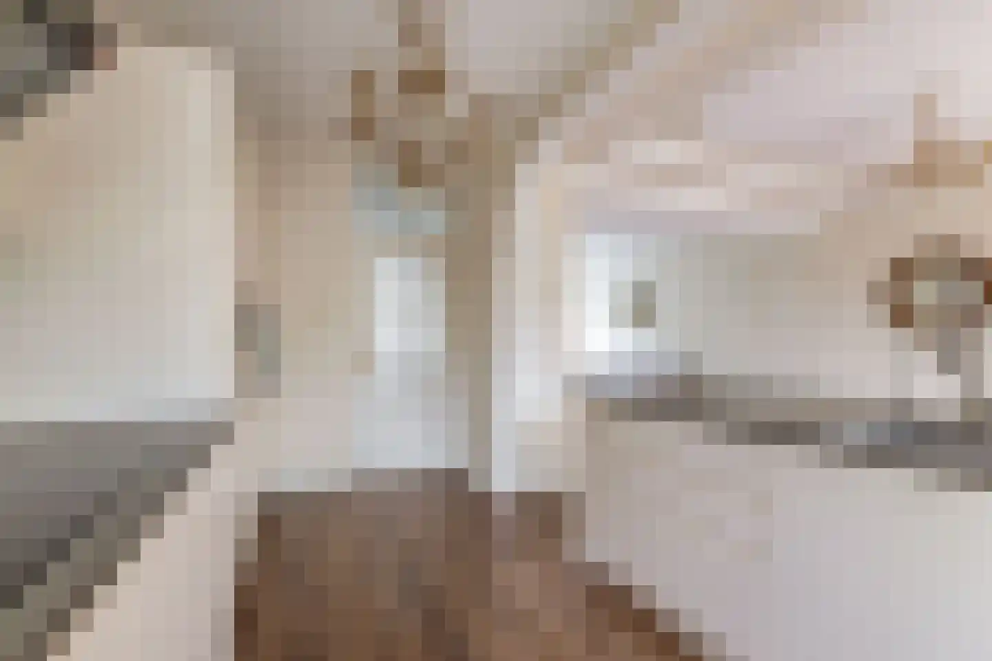 Nigerdreef 24 Utrecht thumbnail 21