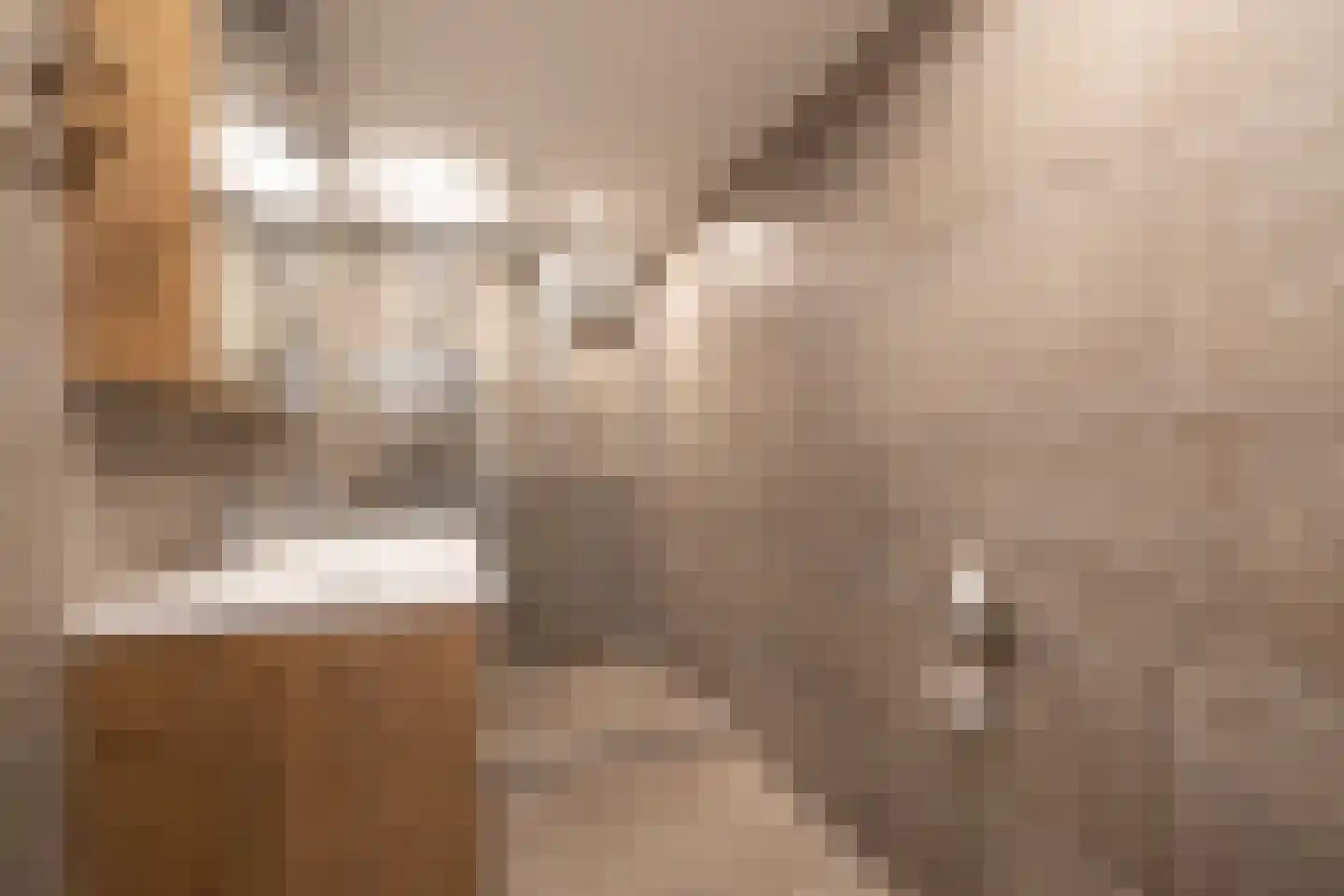 Nigerdreef 24 Utrecht thumbnail 33