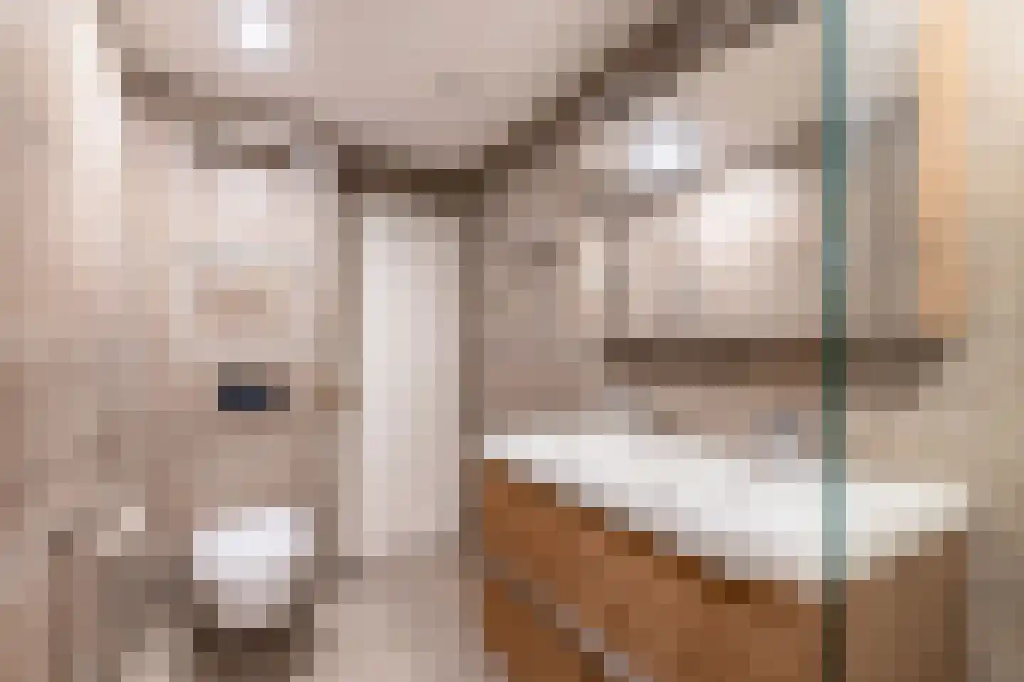Nigerdreef 24 Utrecht thumbnail 33