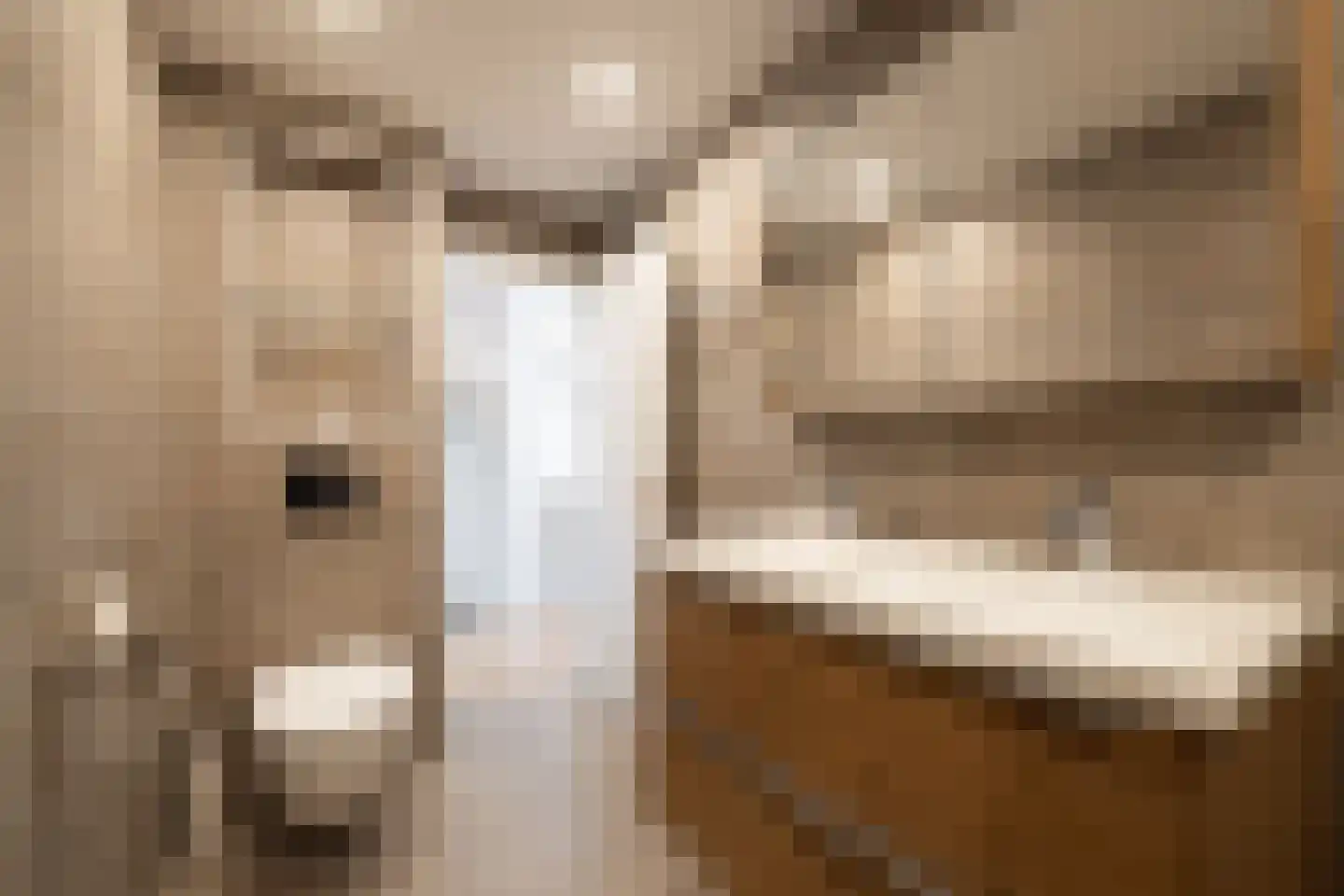 Nigerdreef 24 Utrecht thumbnail 34