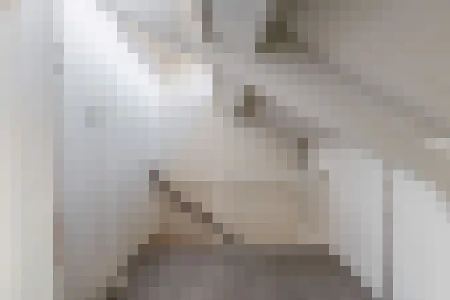 Nigerdreef 24 Utrecht thumbnail 37