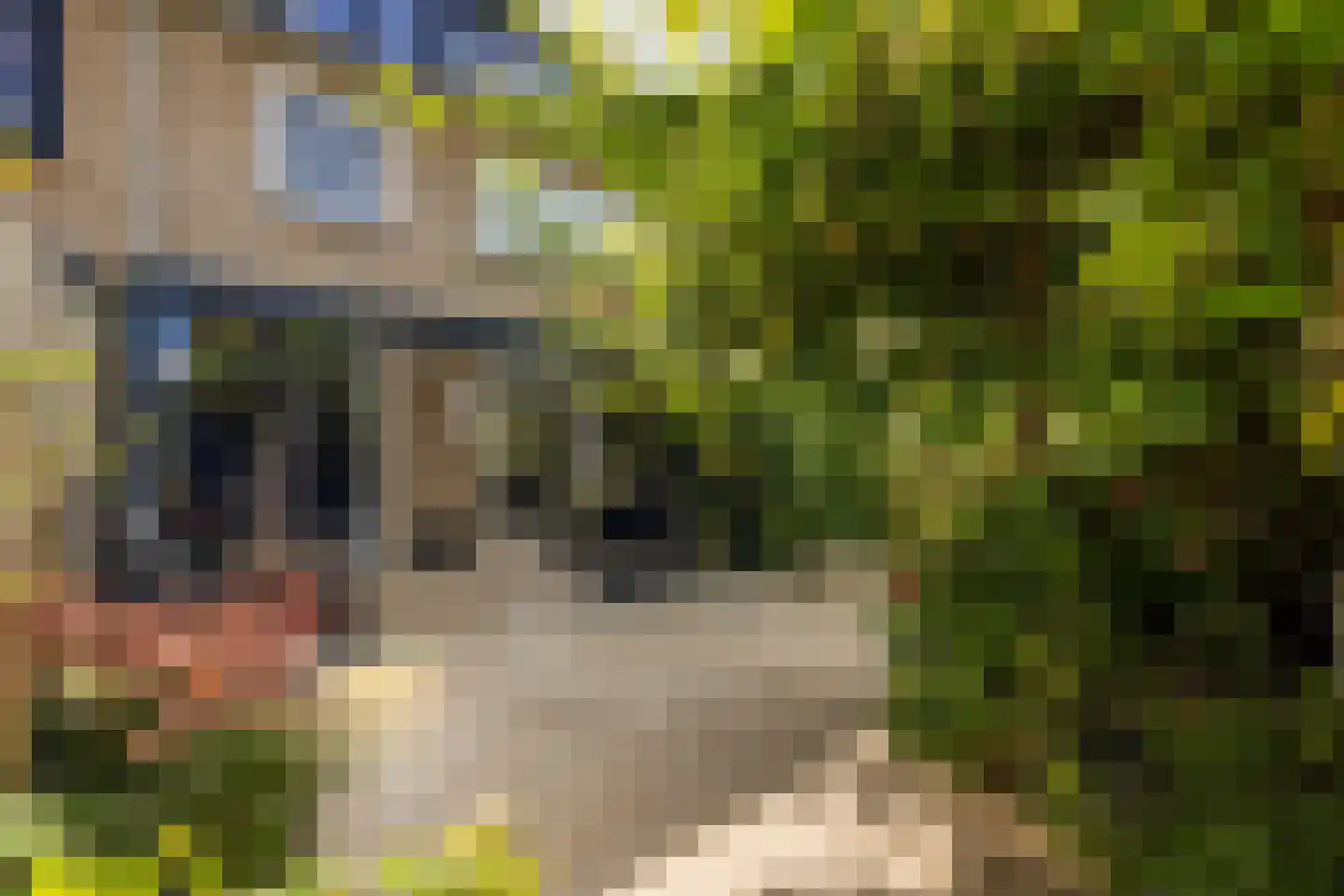Nigerdreef 24 Utrecht thumbnail 40