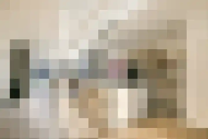Nigtevechtlaan 22 Weesp thumbnail 4