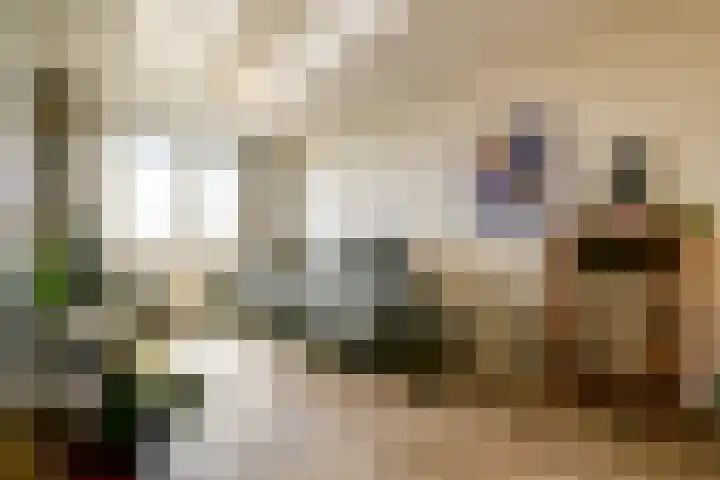 Nigtevechtlaan 22 Weesp thumbnail 9