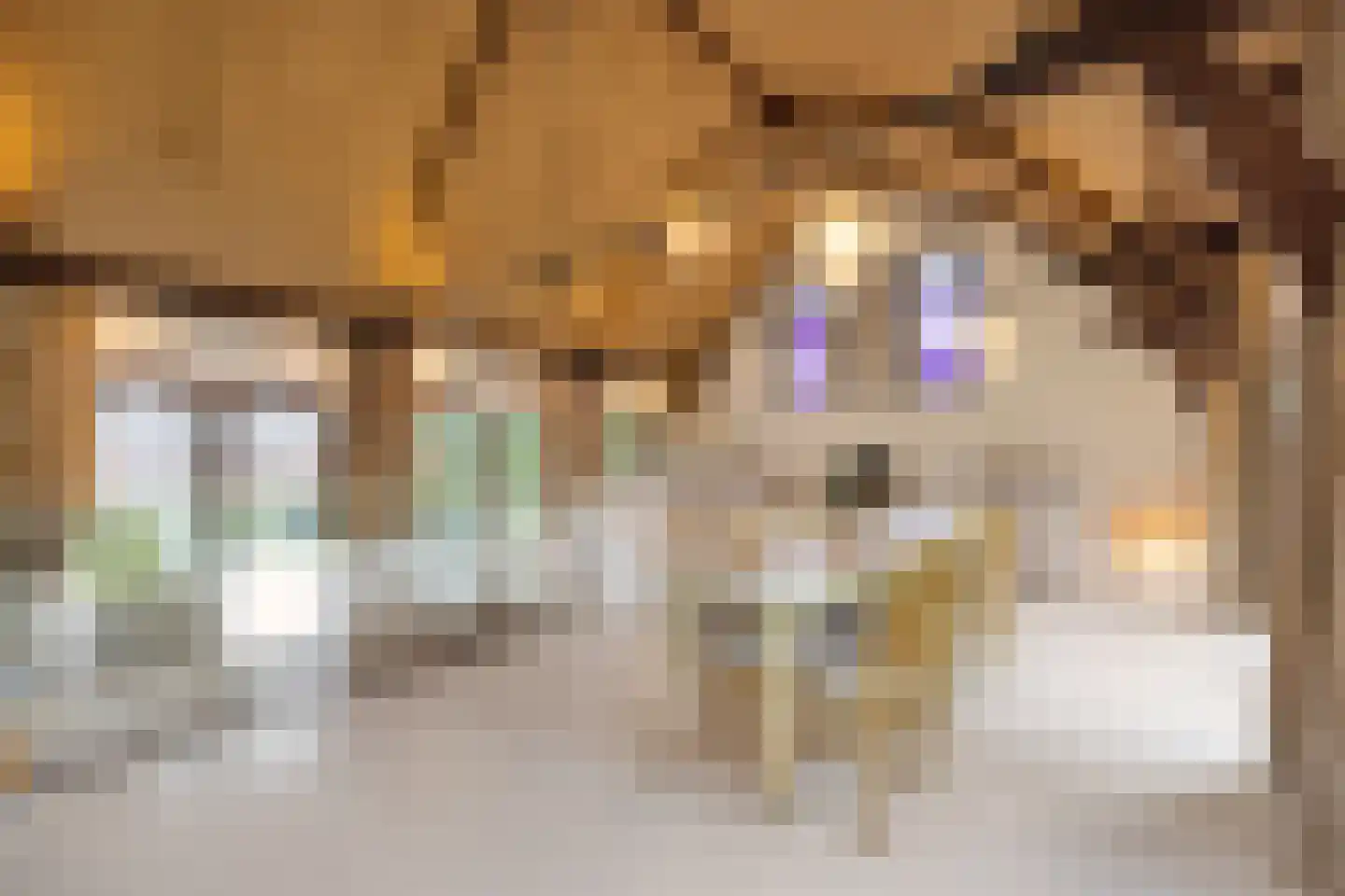 Nigtevechtseweg 1 Vreeland thumbnail 10