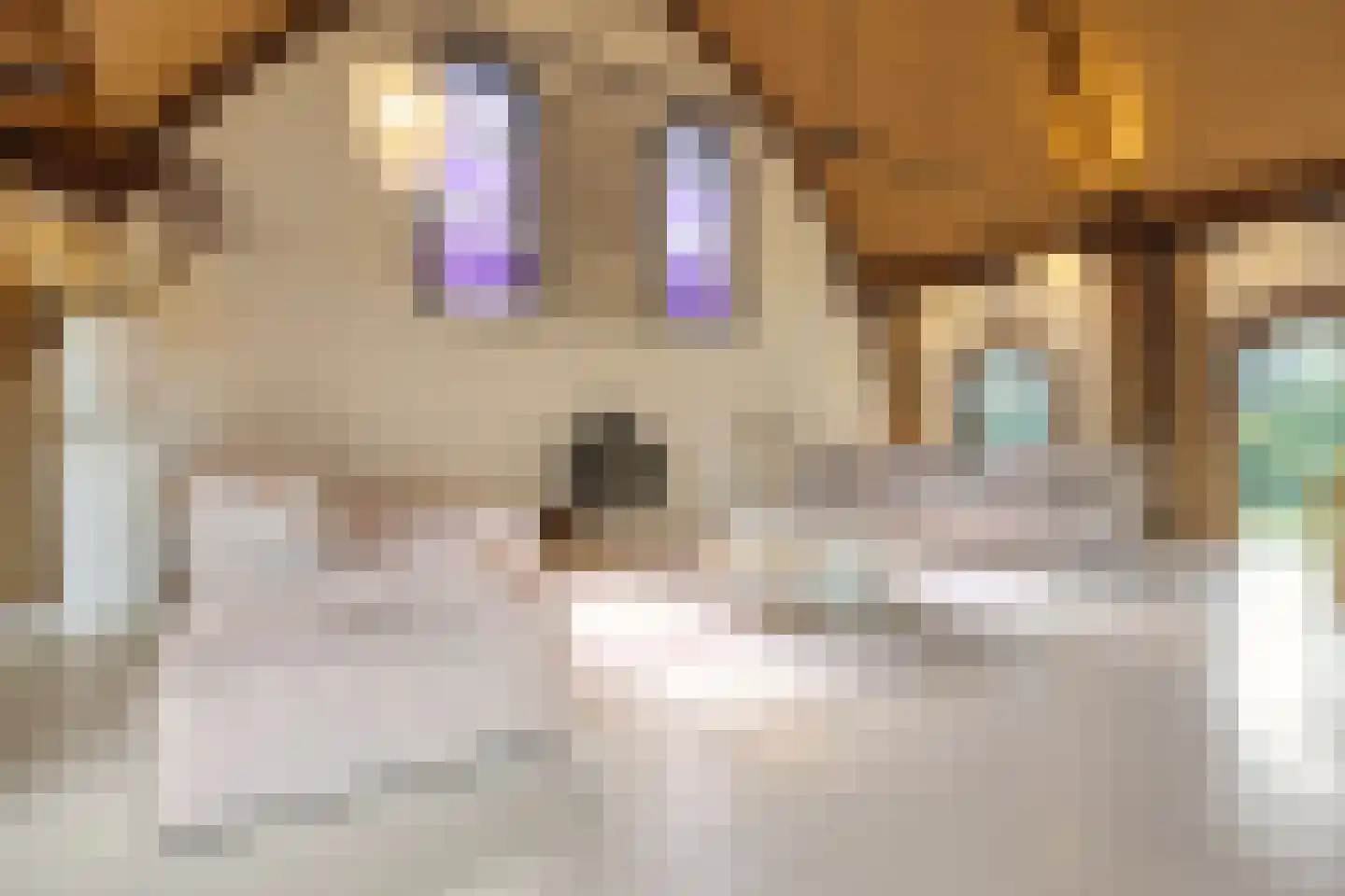 Nigtevechtseweg 1 Vreeland thumbnail 11