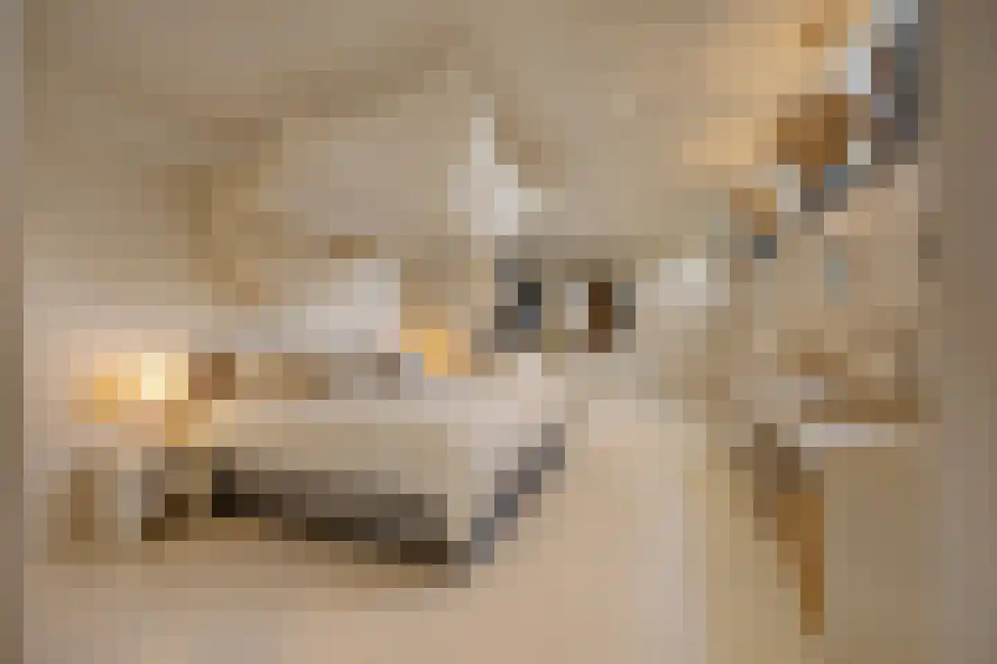 Nigtevechtseweg 1 Vreeland thumbnail 16
