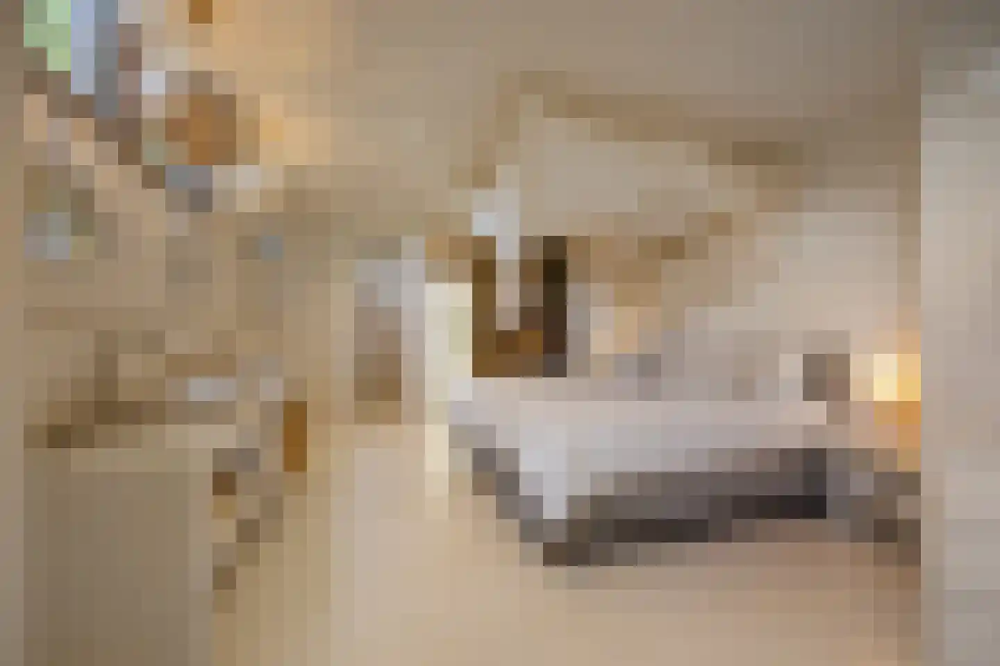 Nigtevechtseweg 1 Vreeland thumbnail 17