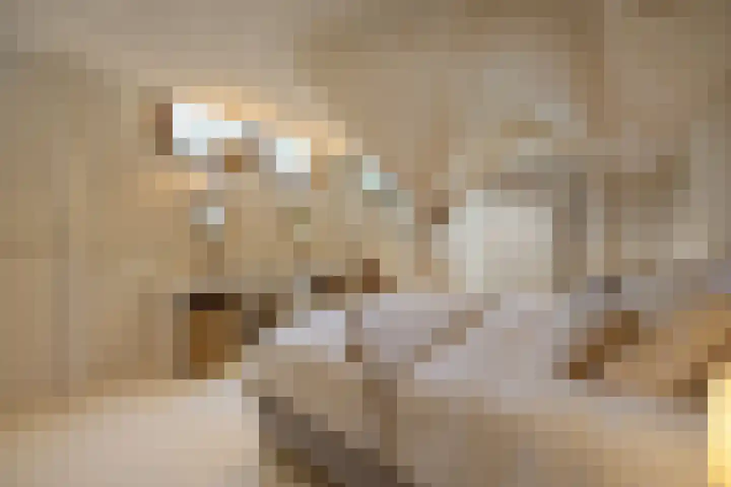 Nigtevechtseweg 1 Vreeland thumbnail 18