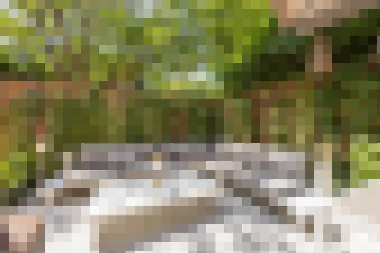 Nigtevechtseweg 1 Vreeland thumbnail 22