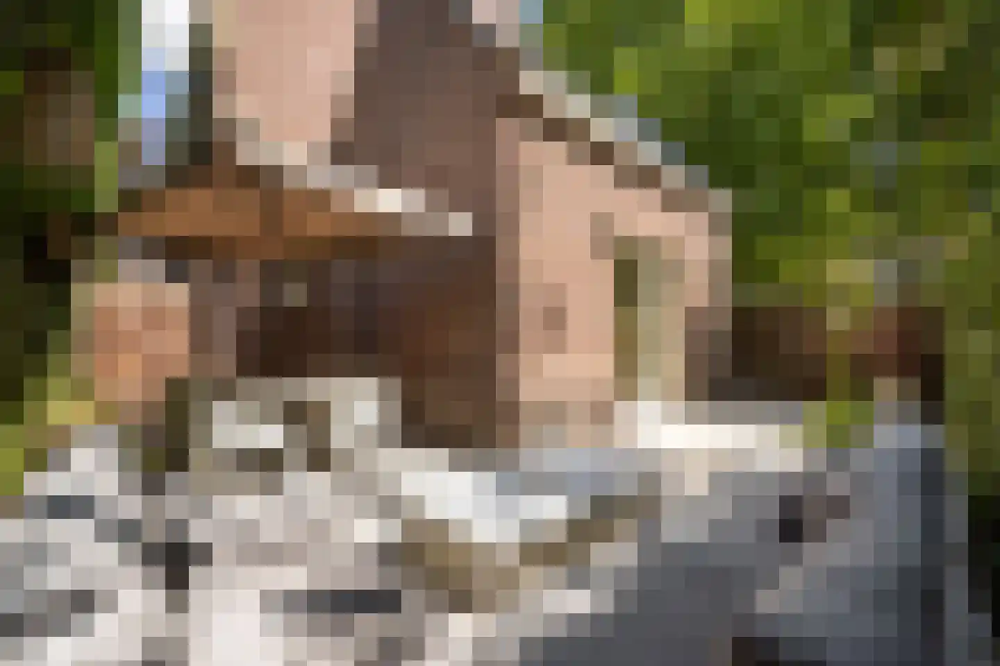 Nigtevechtseweg 1 Vreeland thumbnail 23