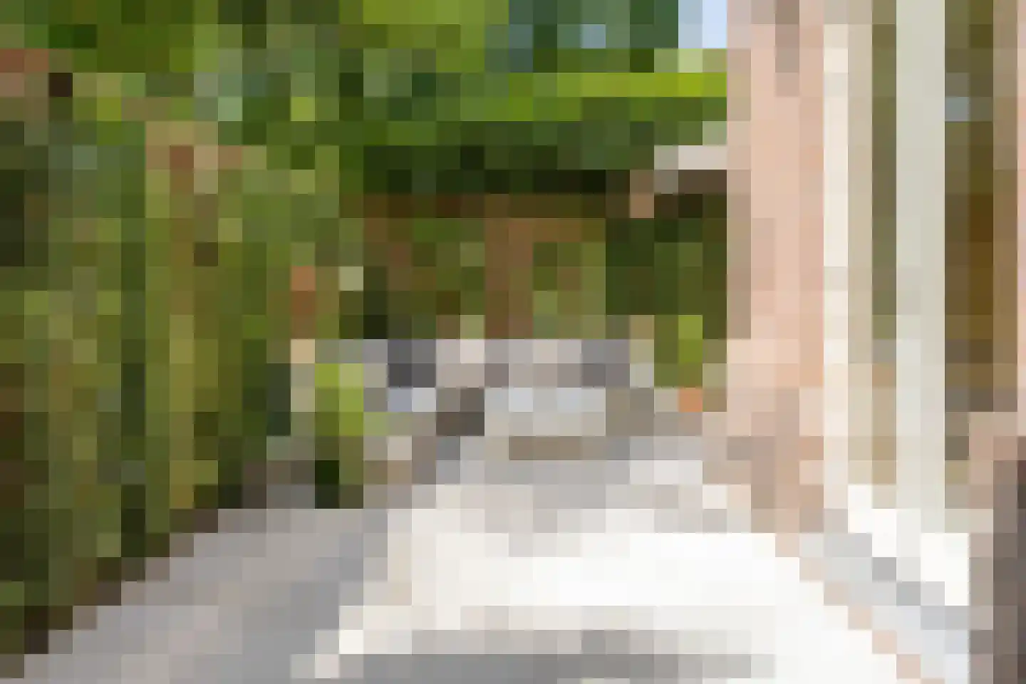 Nigtevechtseweg 1 Vreeland thumbnail 24