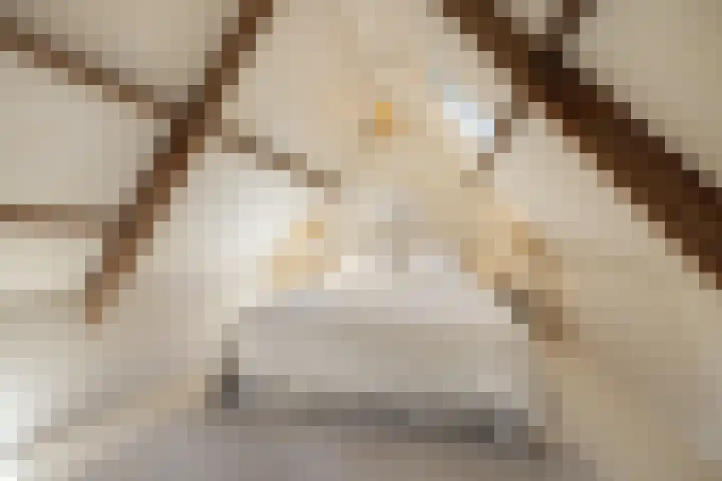 Nigtevechtseweg 1 Vreeland thumbnail 30