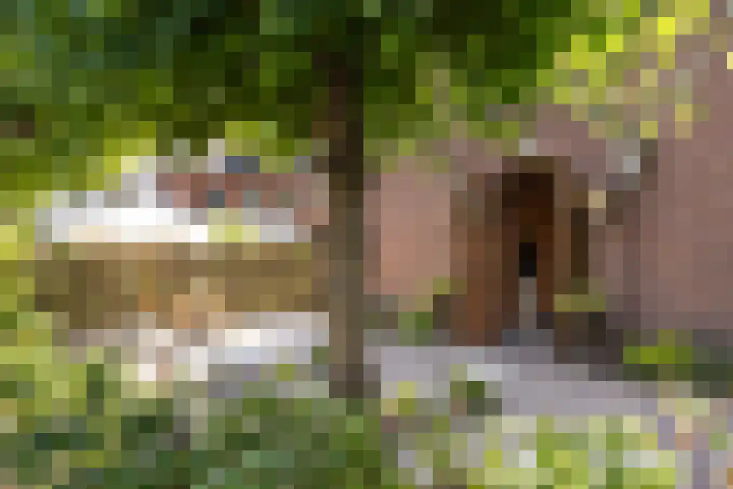 Nigtevechtseweg 1 Vreeland thumbnail 33