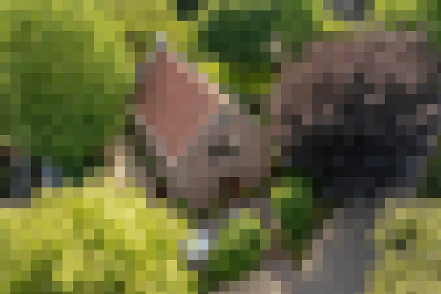 Nigtevechtseweg 1 Vreeland thumbnail 34