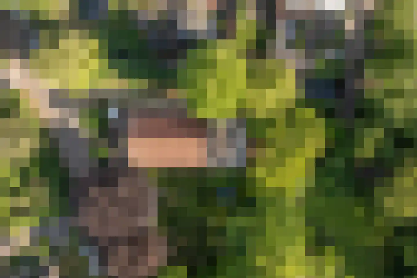 Nigtevechtseweg 1 Vreeland thumbnail 35