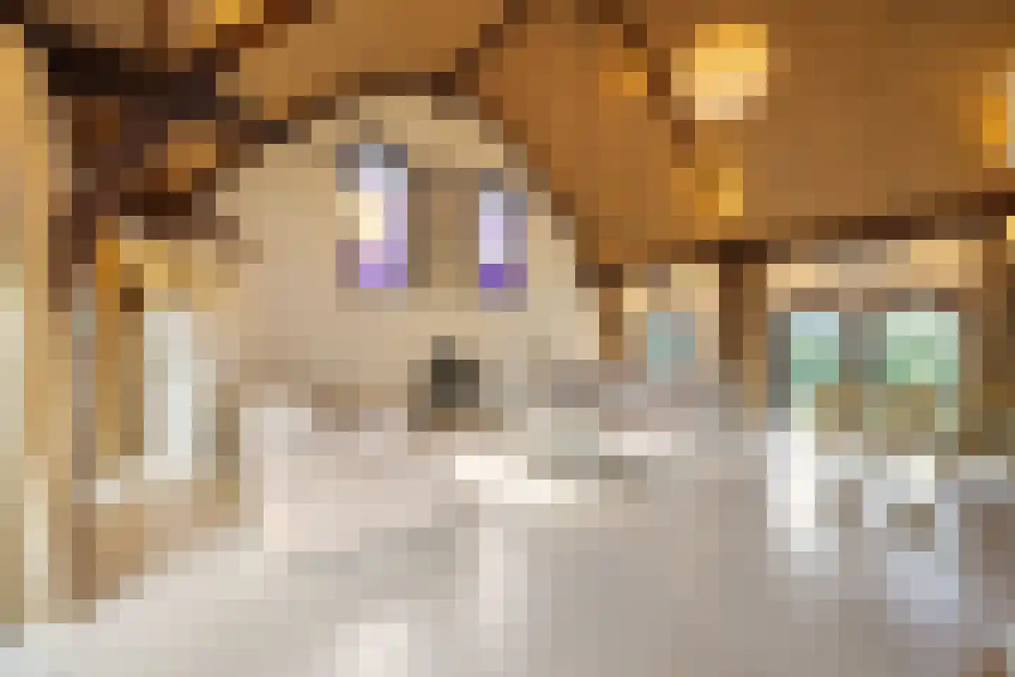 Nigtevechtseweg 1 Vreeland thumbnail 5