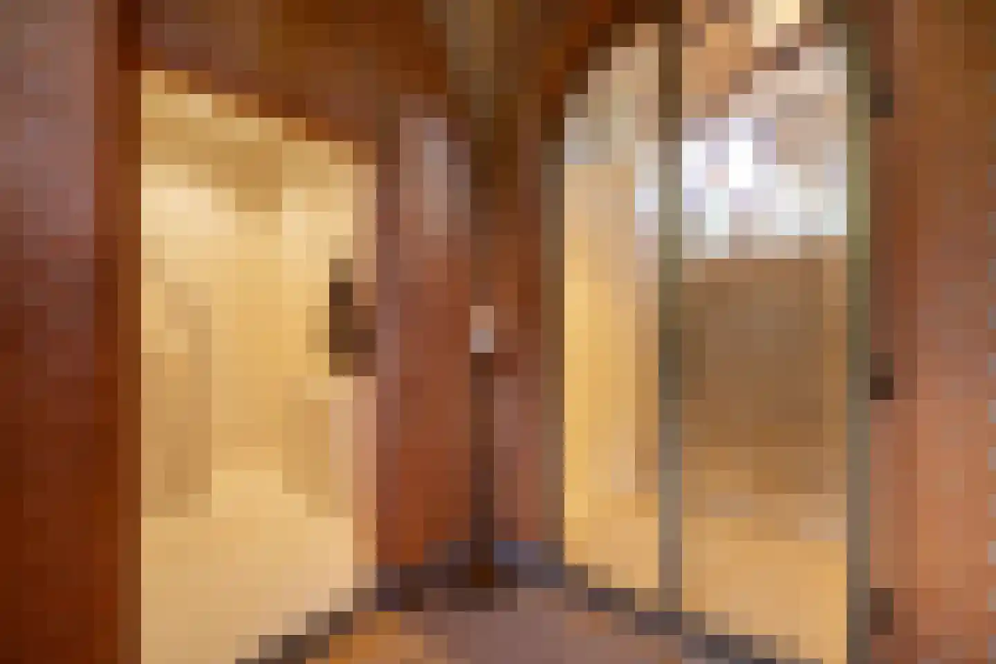 Nigtevechtseweg 1 Vreeland thumbnail 9