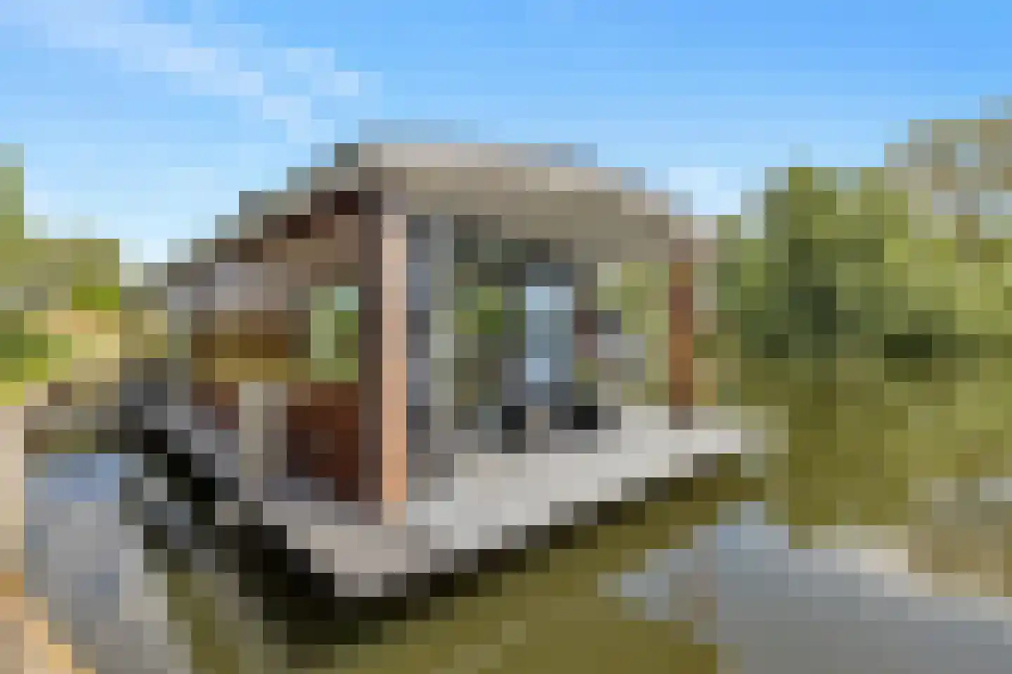 Nigtevechtseweg 134 ws Vreeland thumbnail 10