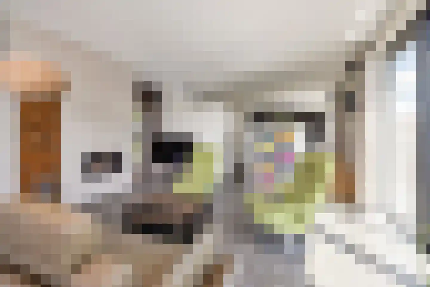 Nigtevechtseweg 134 ws Vreeland thumbnail 16