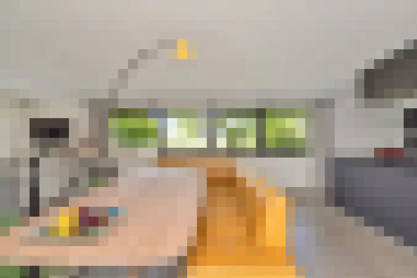 Nigtevechtseweg 134 ws Vreeland thumbnail 34