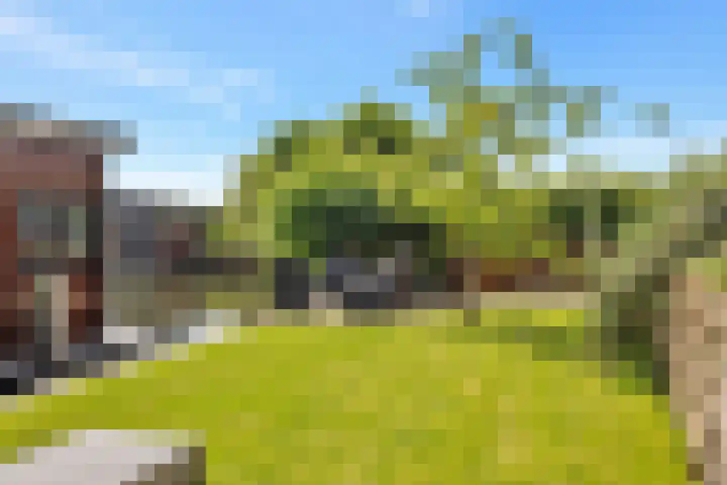 Nigtevechtseweg 134 ws Vreeland thumbnail 5