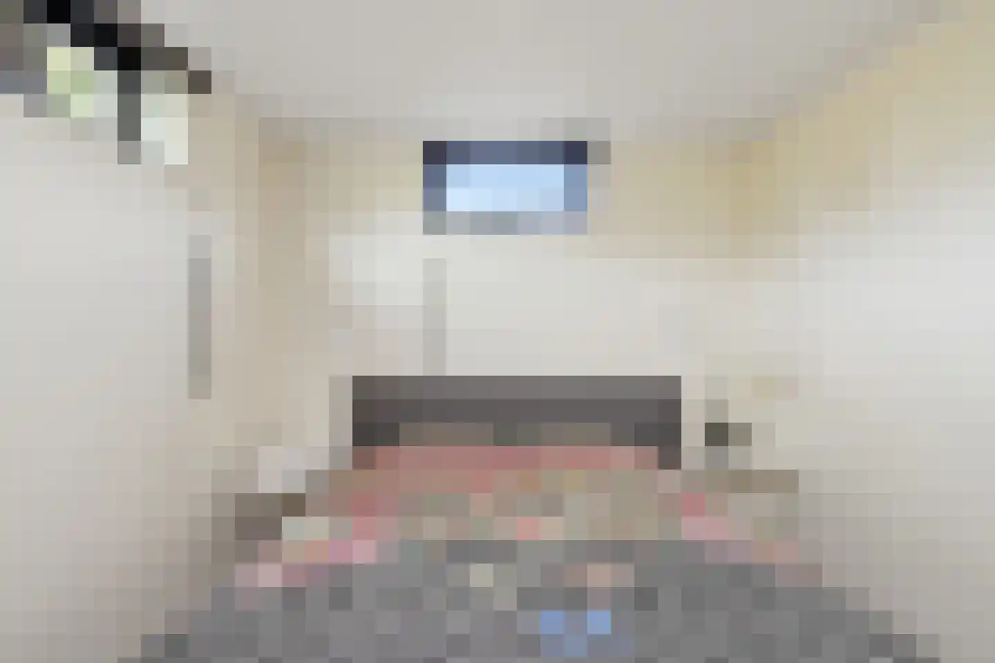 Nigtevechtseweg 134 ws Vreeland thumbnail 50