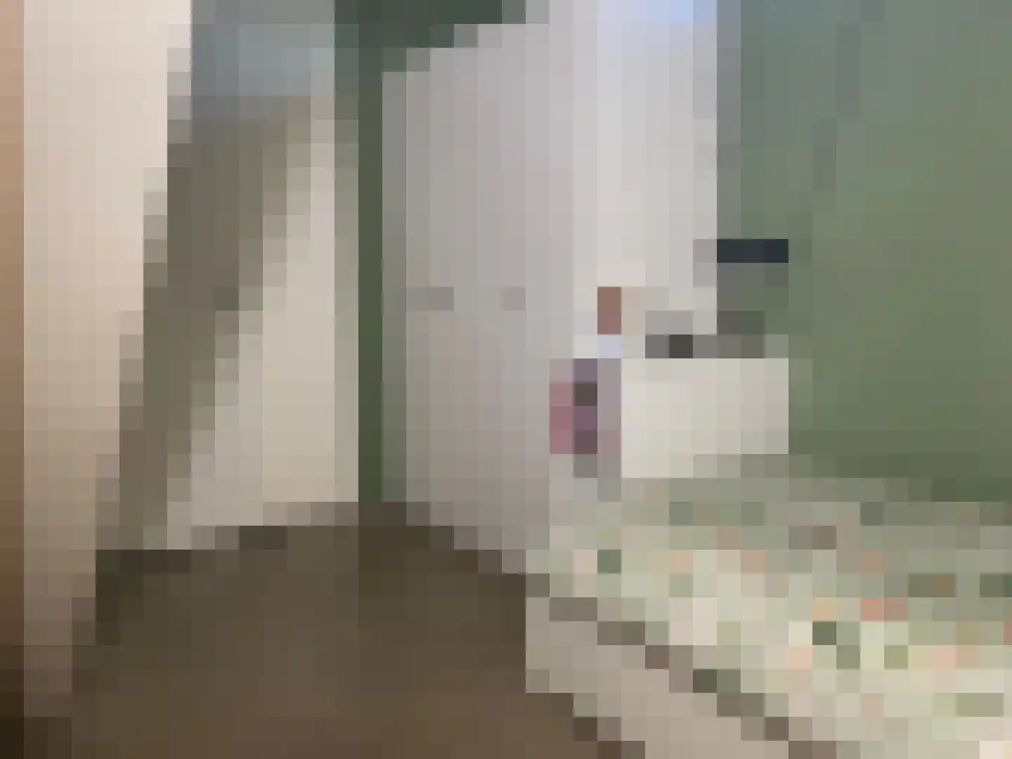 Nigtevechtseweg 134 ws Vreeland thumbnail 52