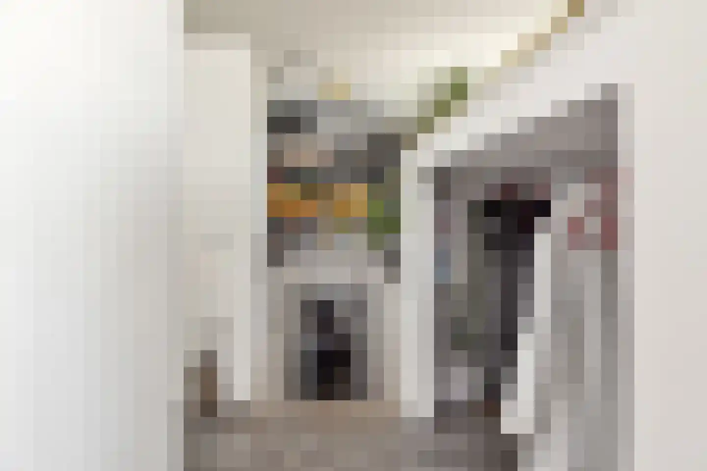 Nigtevechtseweg 134 ws Vreeland thumbnail 54