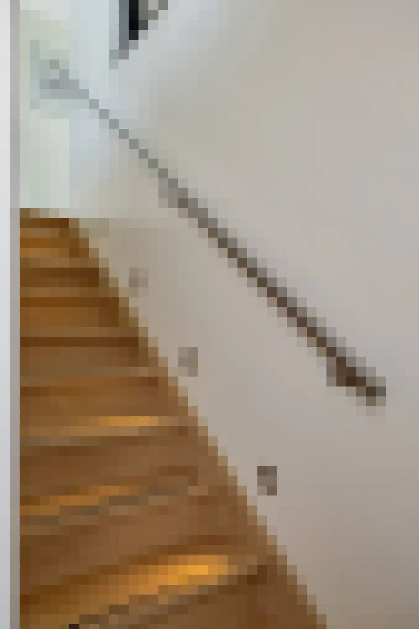 Nigtevechtseweg 134 ws Vreeland thumbnail 55