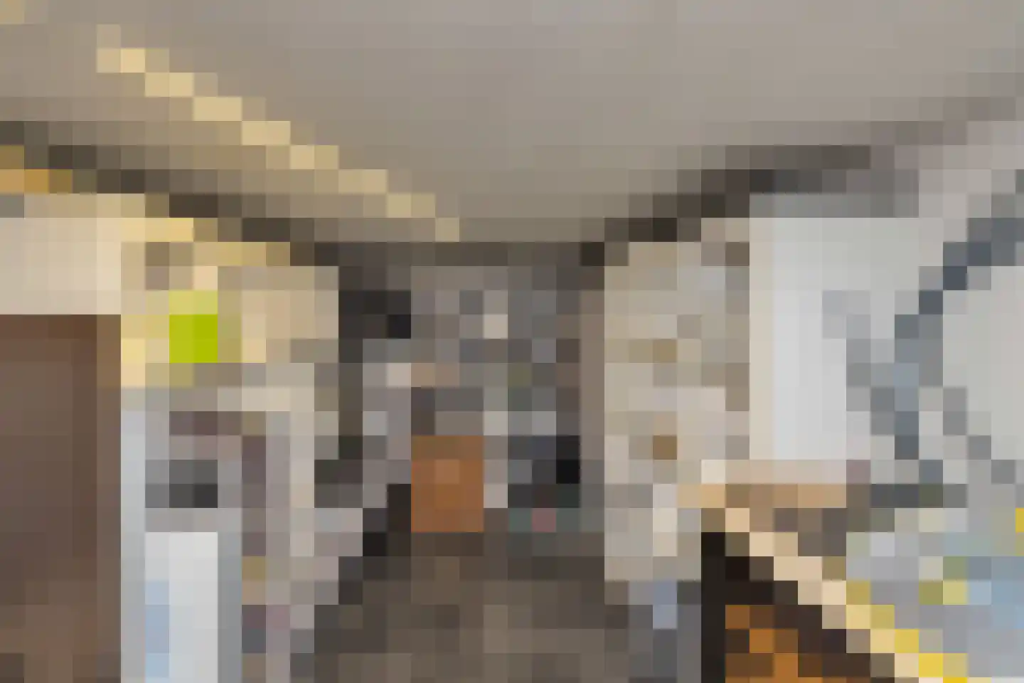 Nigtevechtseweg 134 ws Vreeland thumbnail 58